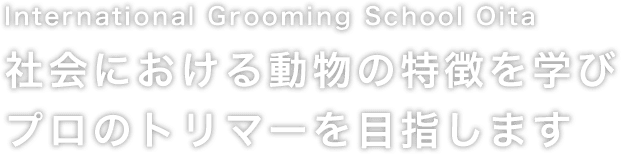 International Grooming School Oita 社会における動物の特徴を学びプロのトリマーを目指します